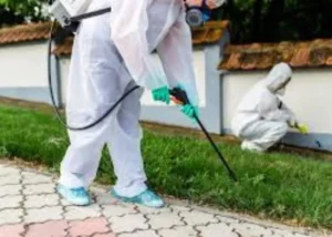 ارخص شركة تنظيف بالاحساء